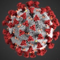 Coronavirus (Covid-19) – Actions to take in the studio Coronavirus_lores