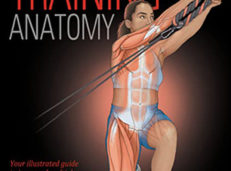 Functional Training Anatomy