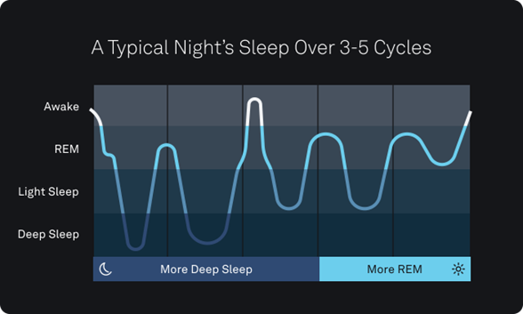 A typical nights sleep over 3-5 cycles