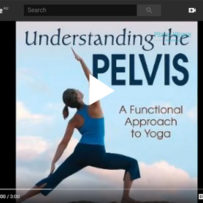 Understanding the Pelvis-A video book review