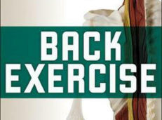 Back Exercise Stabilize, Mobilize, and Reduce Pain by Brian Richey